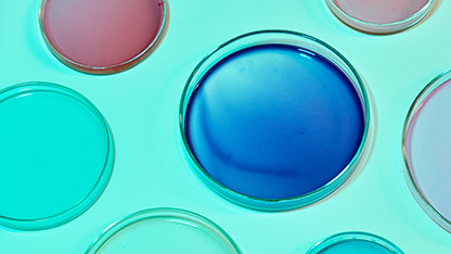Petri dishes